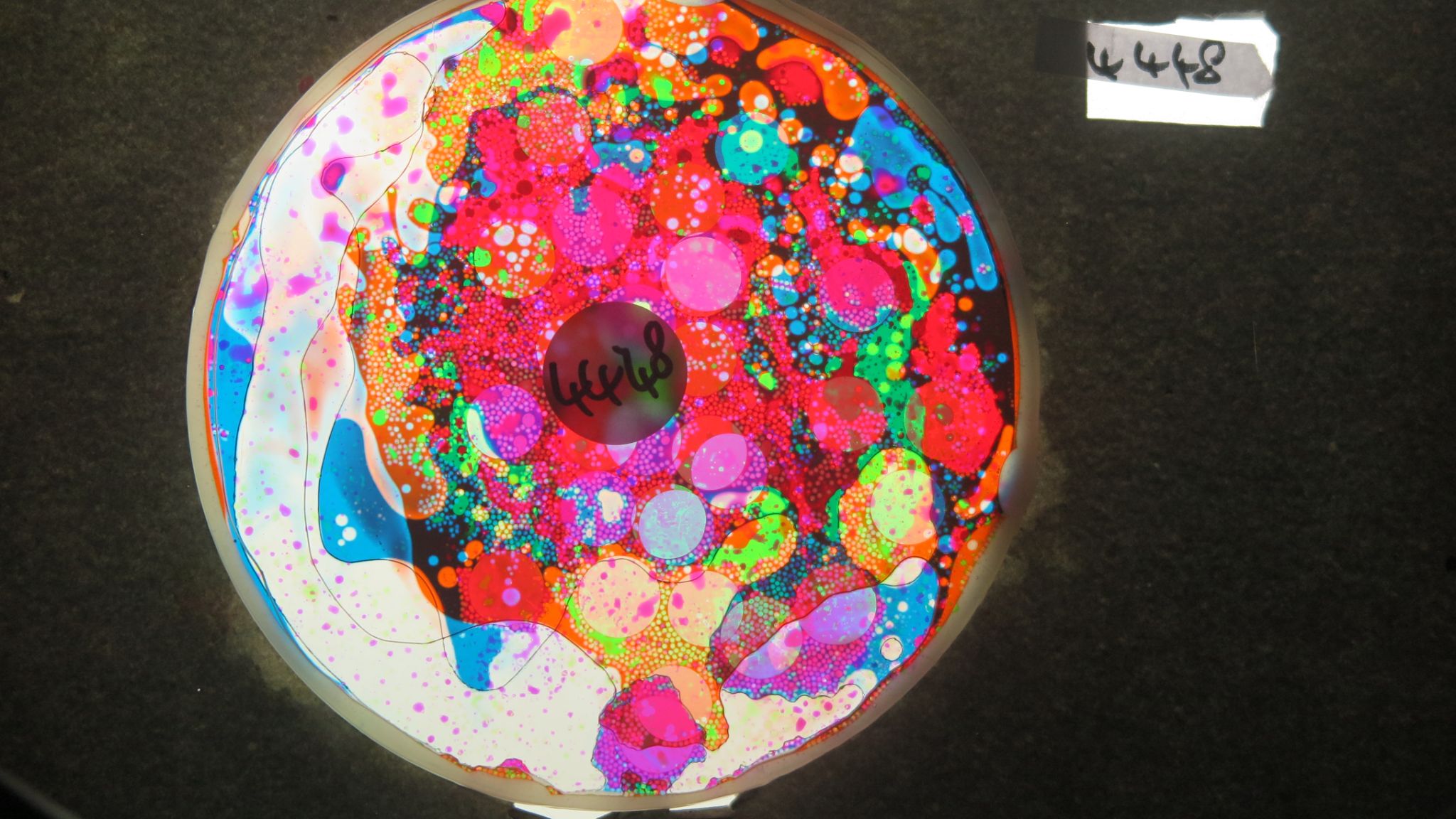 BV4448 bubble vision oil wheel